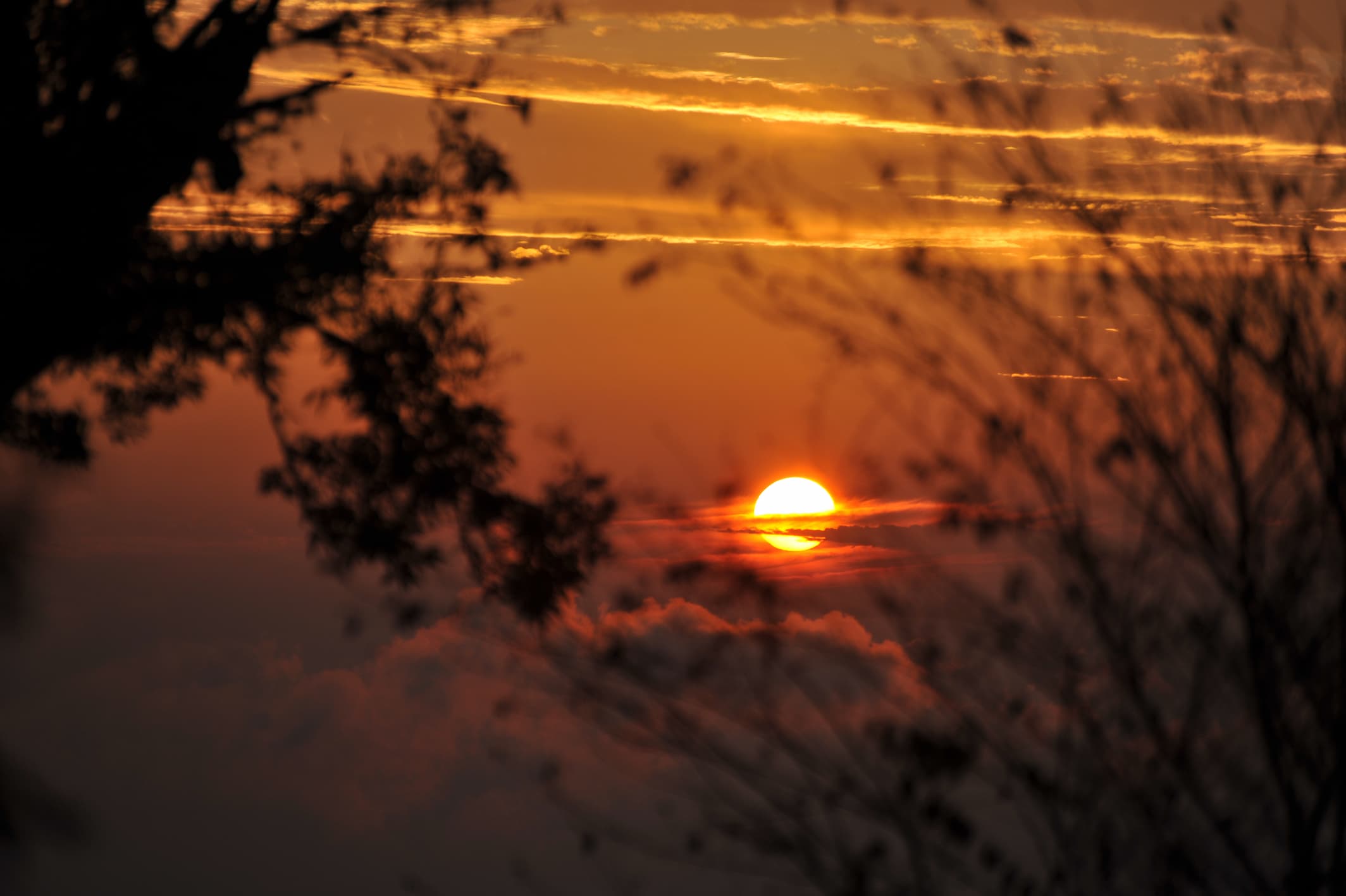 boxmoe_header_banner_img